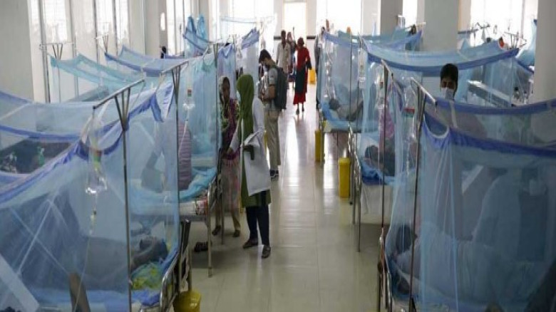 ডেঙ্গু: অক্টোবরে সর্বোচ্চ ৮০ জনের মৃত্যু